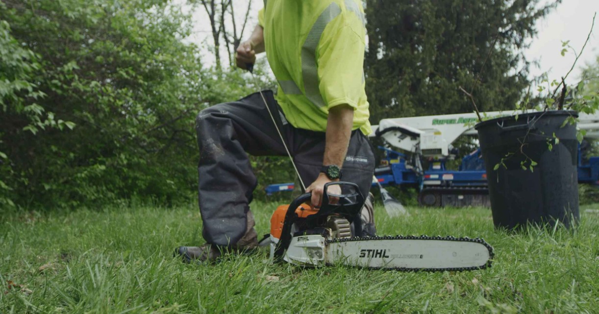 Cabling and bracing structural support in Albany, GA